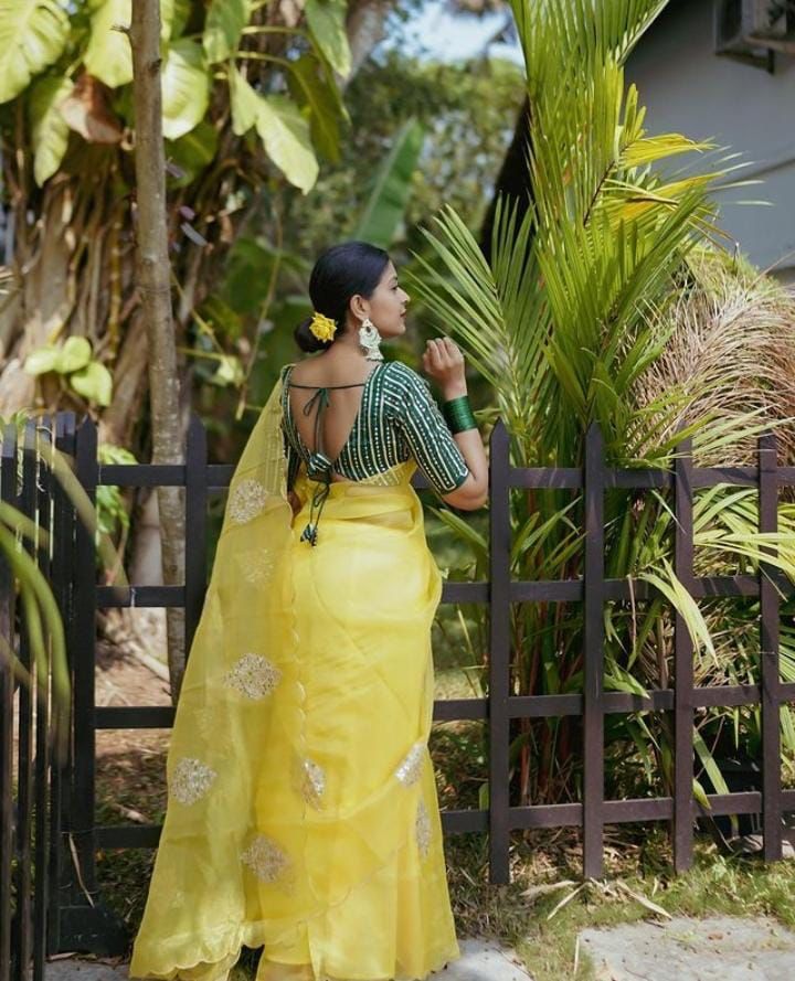 Pure Organza Silk Multi Sequence Cut Work Saree With Embroidery Blouse