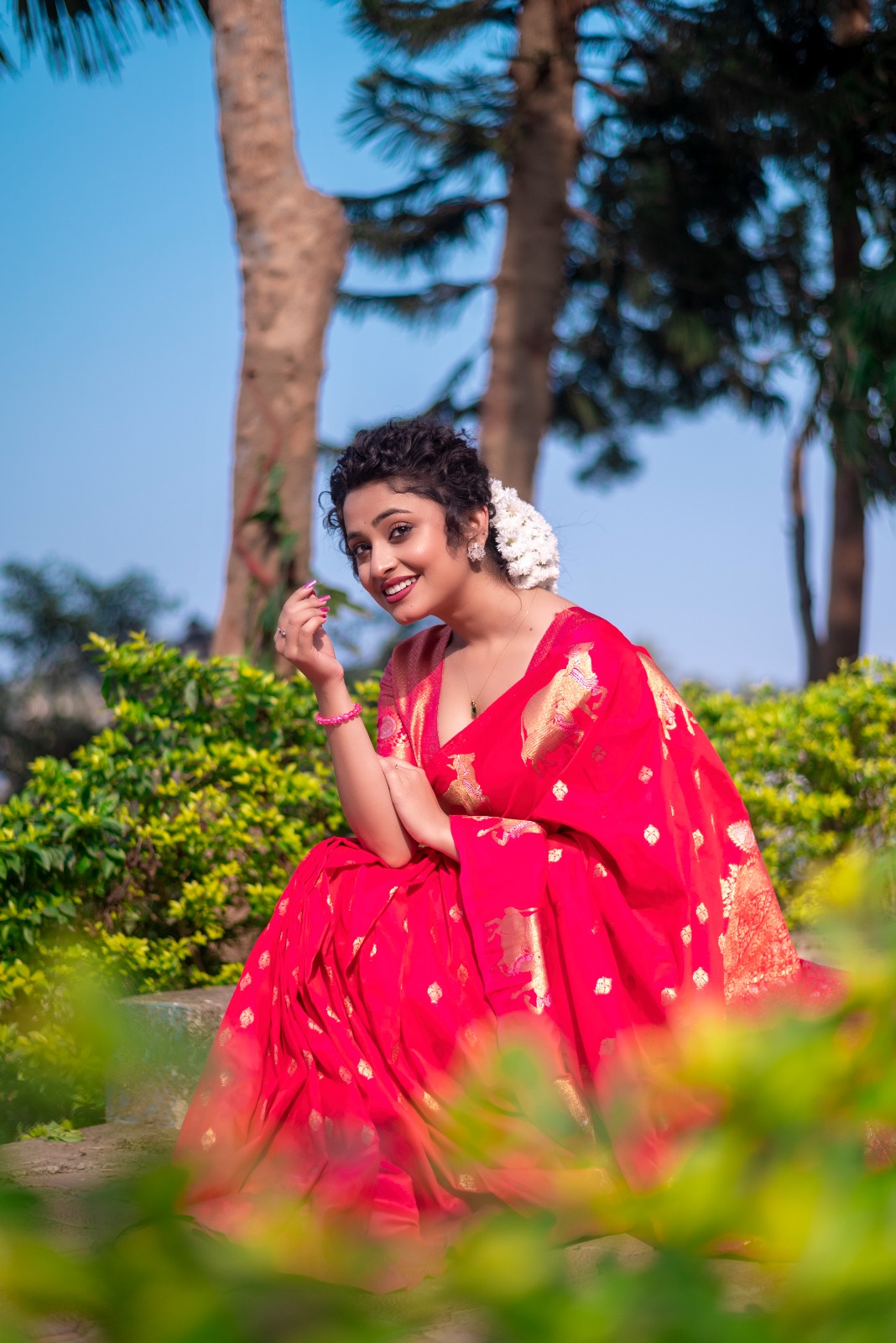 Raani Banarasi Silk Zari Weaved Body Rich Pallu Border Saree