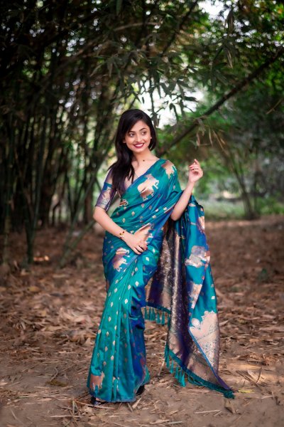 Image of Teal Banarasi Silk Zari Weaved Body Rich Pallu Border Saree