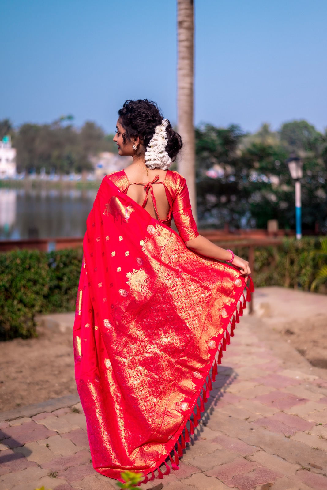 Raani Banarasi Silk Zari Weaved Body Rich Pallu Border Saree