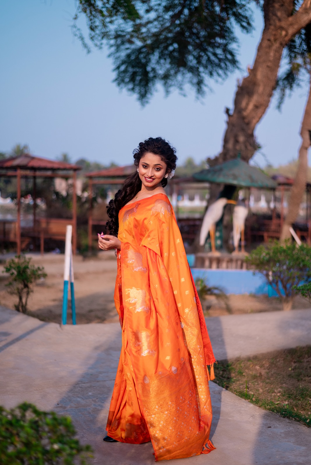 Orange Banarasi Silk Zari Weaved Body Rich Pallu Border Saree