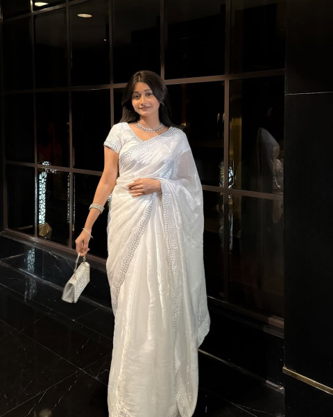 Image of Off-White Pure Soft Burberry Crystal Diamond Arco Work Saree