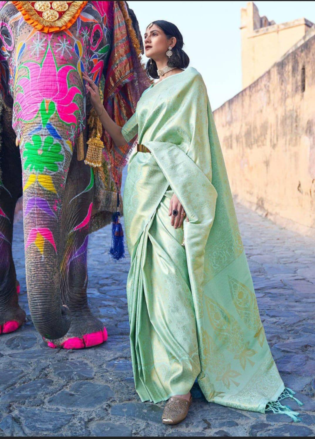 Pistachio Banarasi Silk Jacquard Weaved All Over Rich Zari Saree