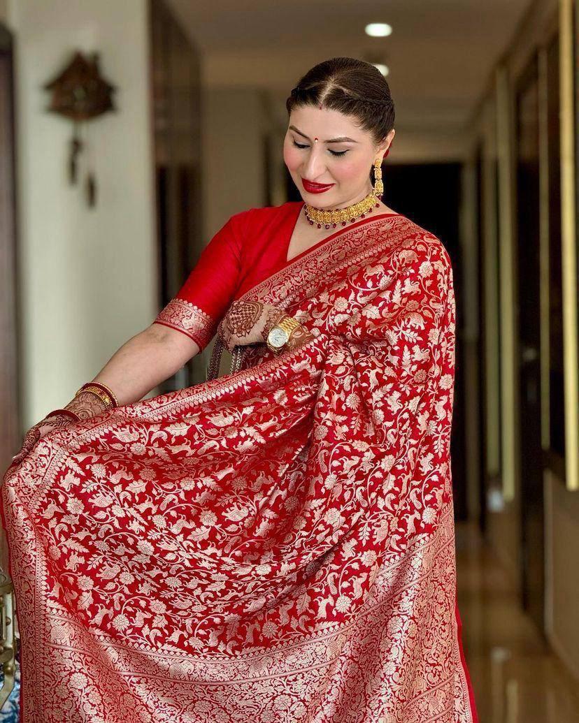 Red Banarasi Silk Rich All Over Silver Zari Floral Weaved Saree