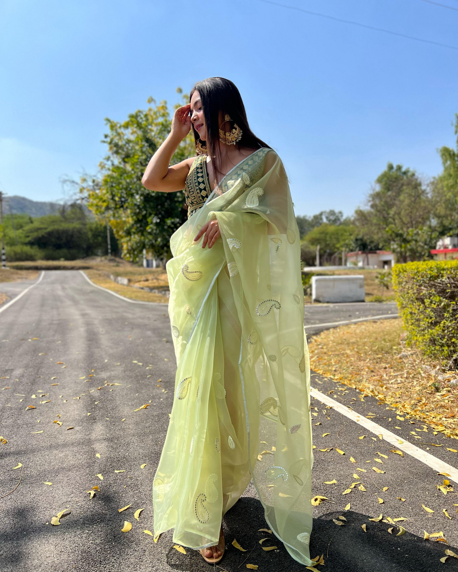 Pistachio Organza Silk All Over Resham Gota Thread Work Saree