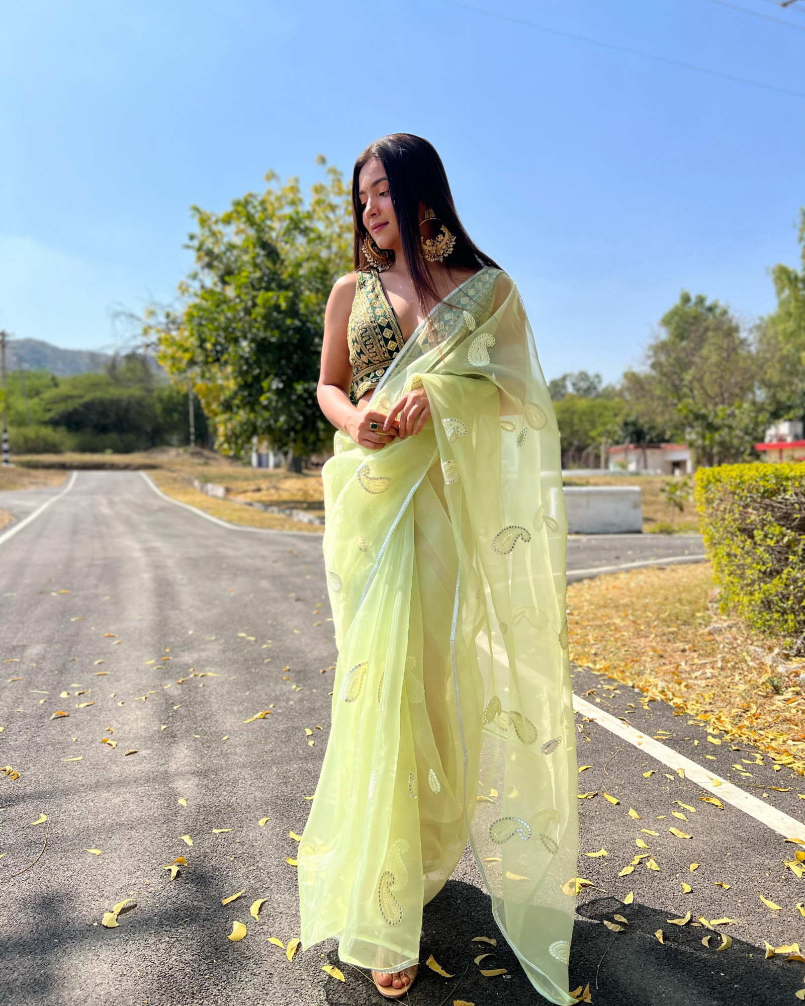 Pistachio Organza Silk All Over Resham Gota Thread Work Saree