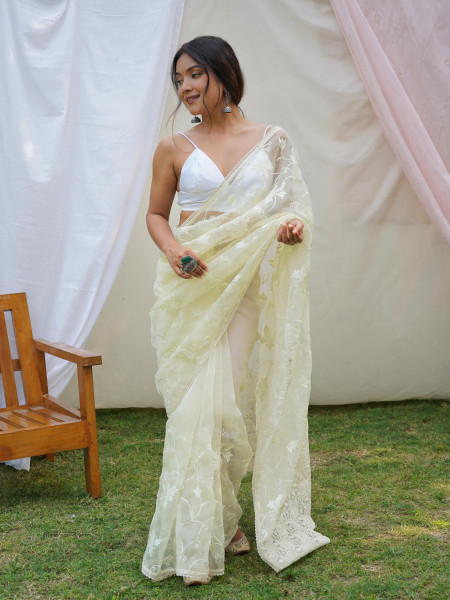 Image of Light Pistachio Organza Silk Lucknowi Thread Chikankari Work Saree