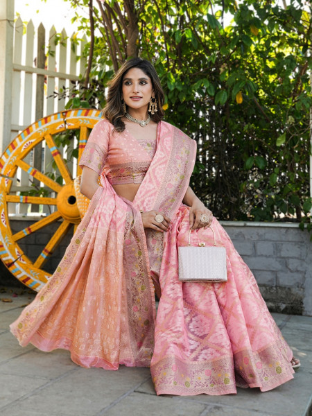 Image of Pink Premium Organza Silk Bandhani Patola Weaved Saree
