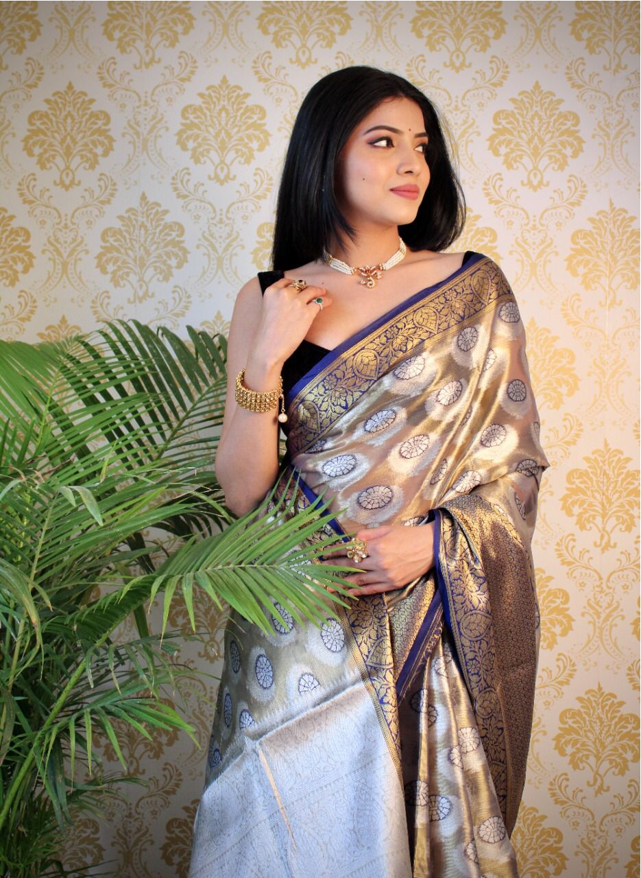 Pure Banarasi Tissue Silk Gold Zari Weaved Border Saree