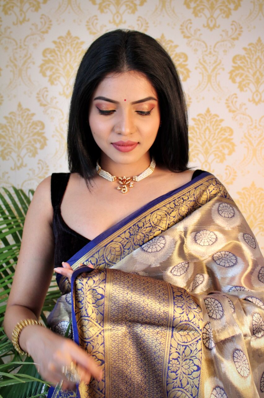 Pure Banarasi Tissue Silk Gold Zari Weaved Border Saree