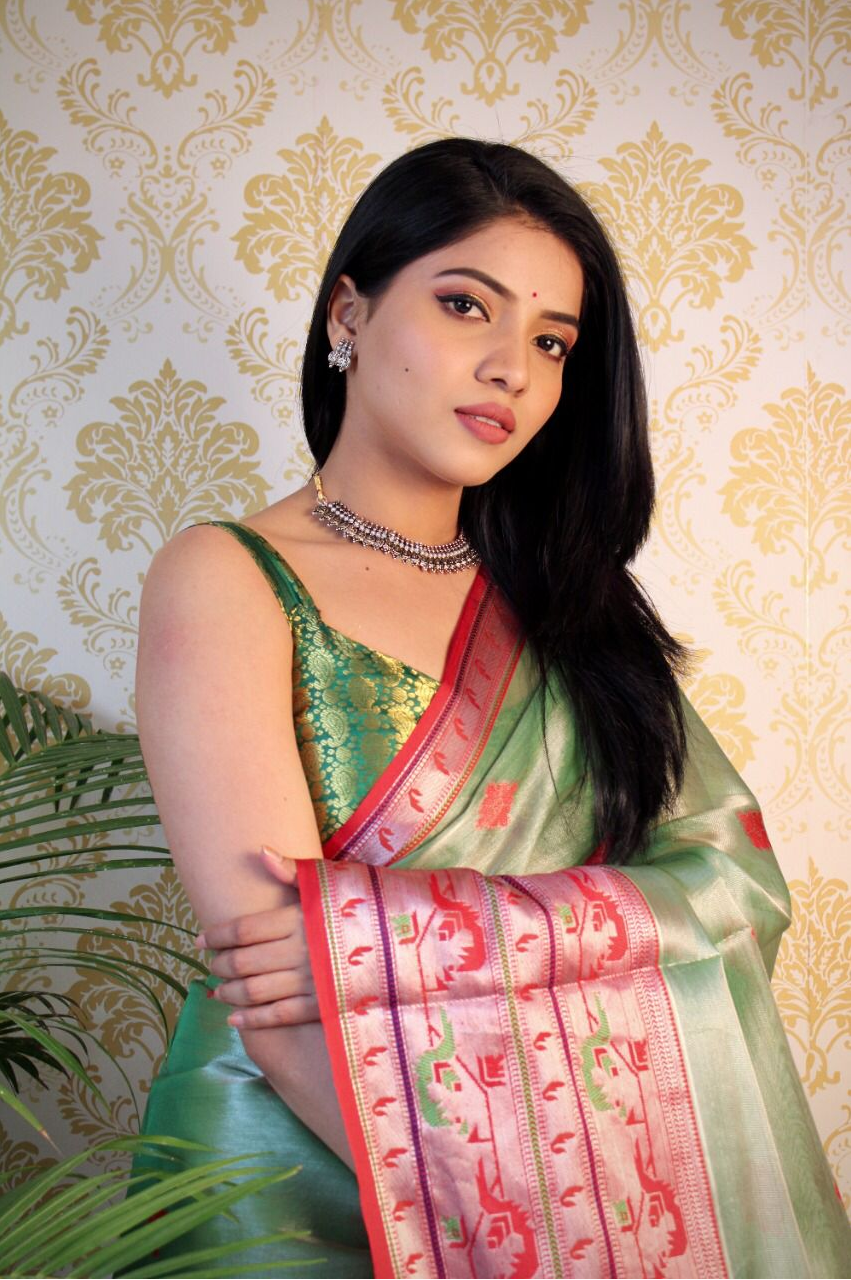 Pure Tissue Silk With Rich Pallu Paithani Border Saree