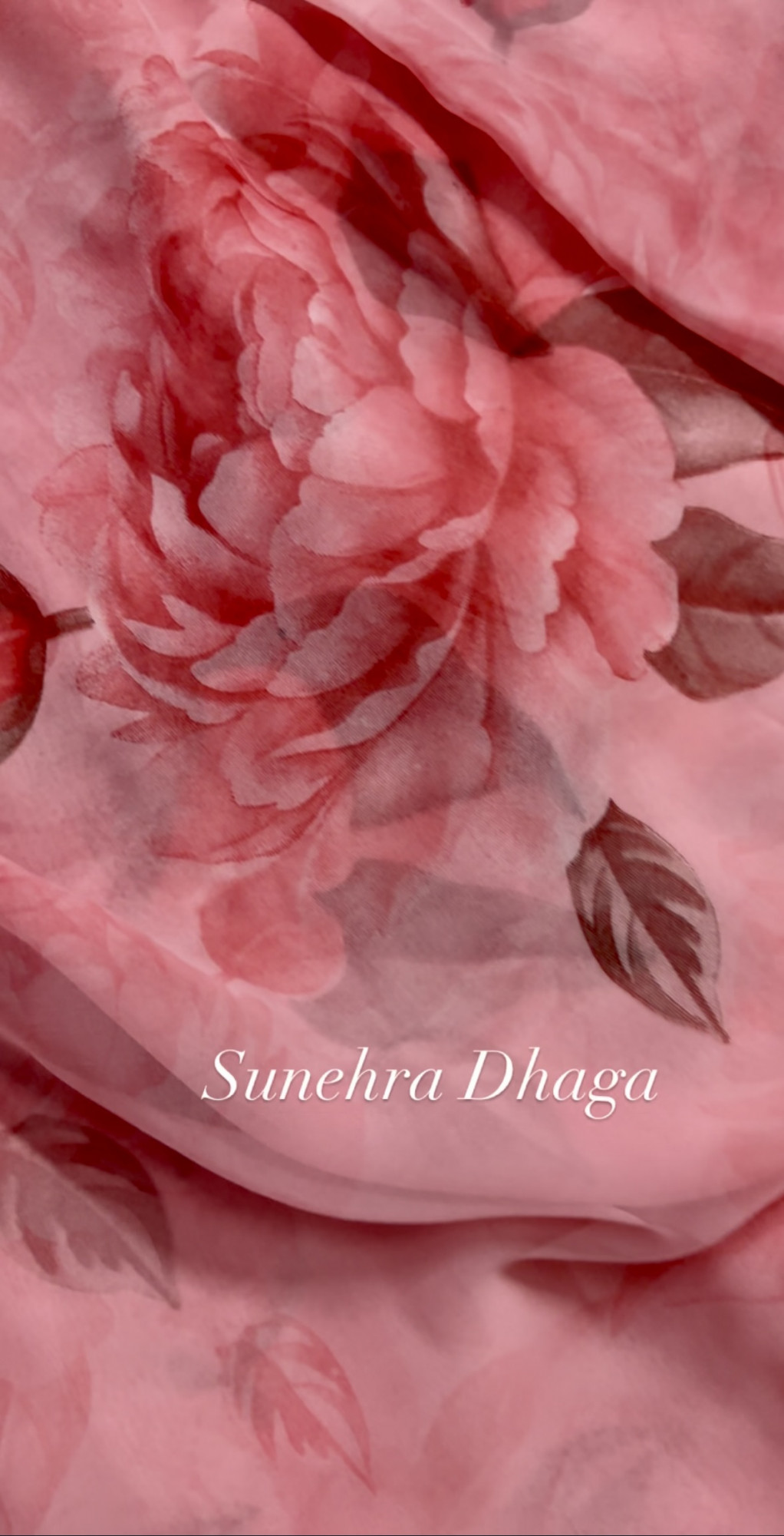 GULABO- Pink Rose Georgette Saree