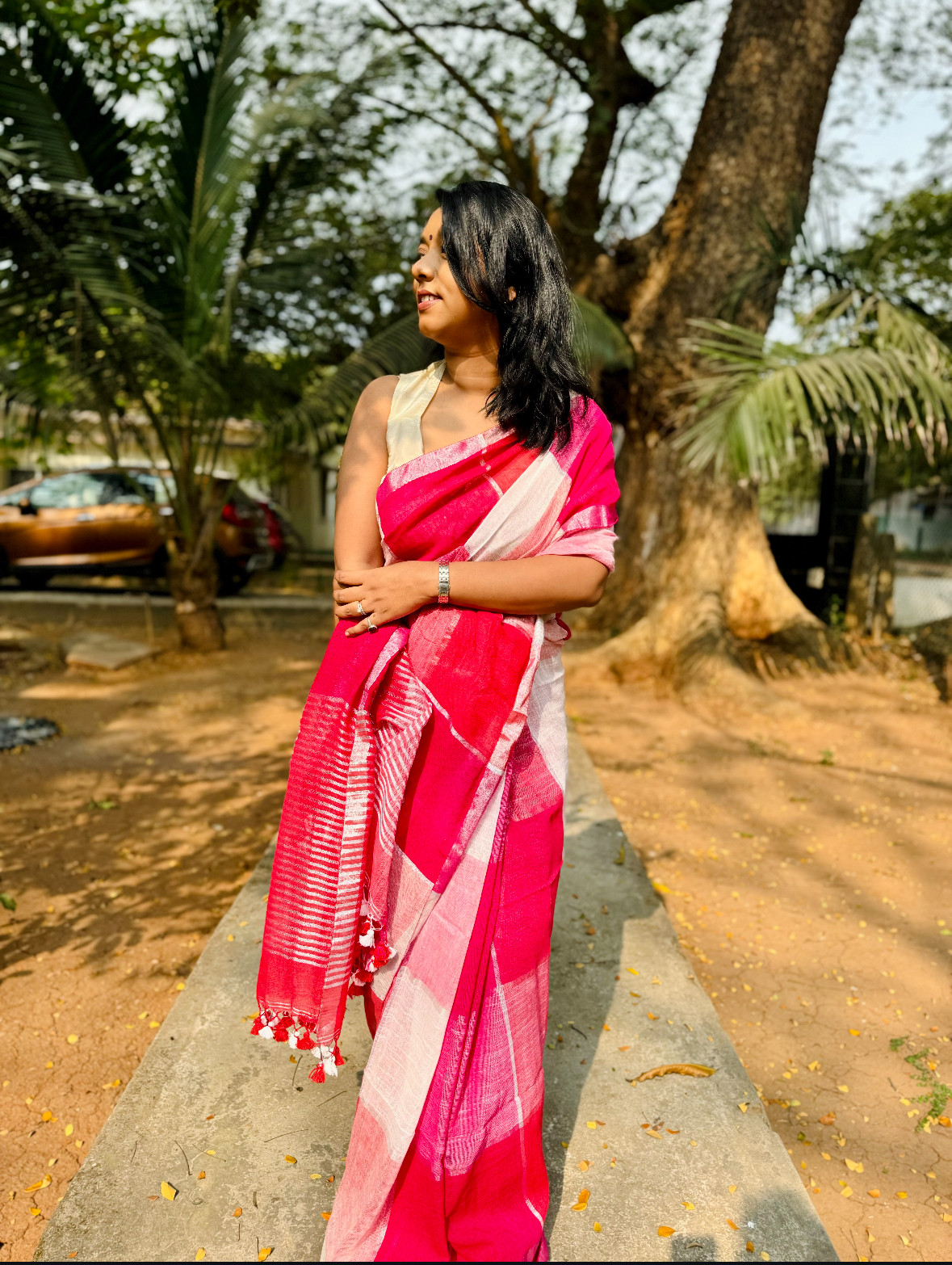 Gulal Rekha - Handwoven Pure Linen Saree