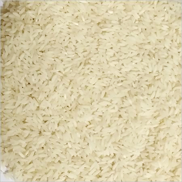 Image of Arwa Katarni Sonam