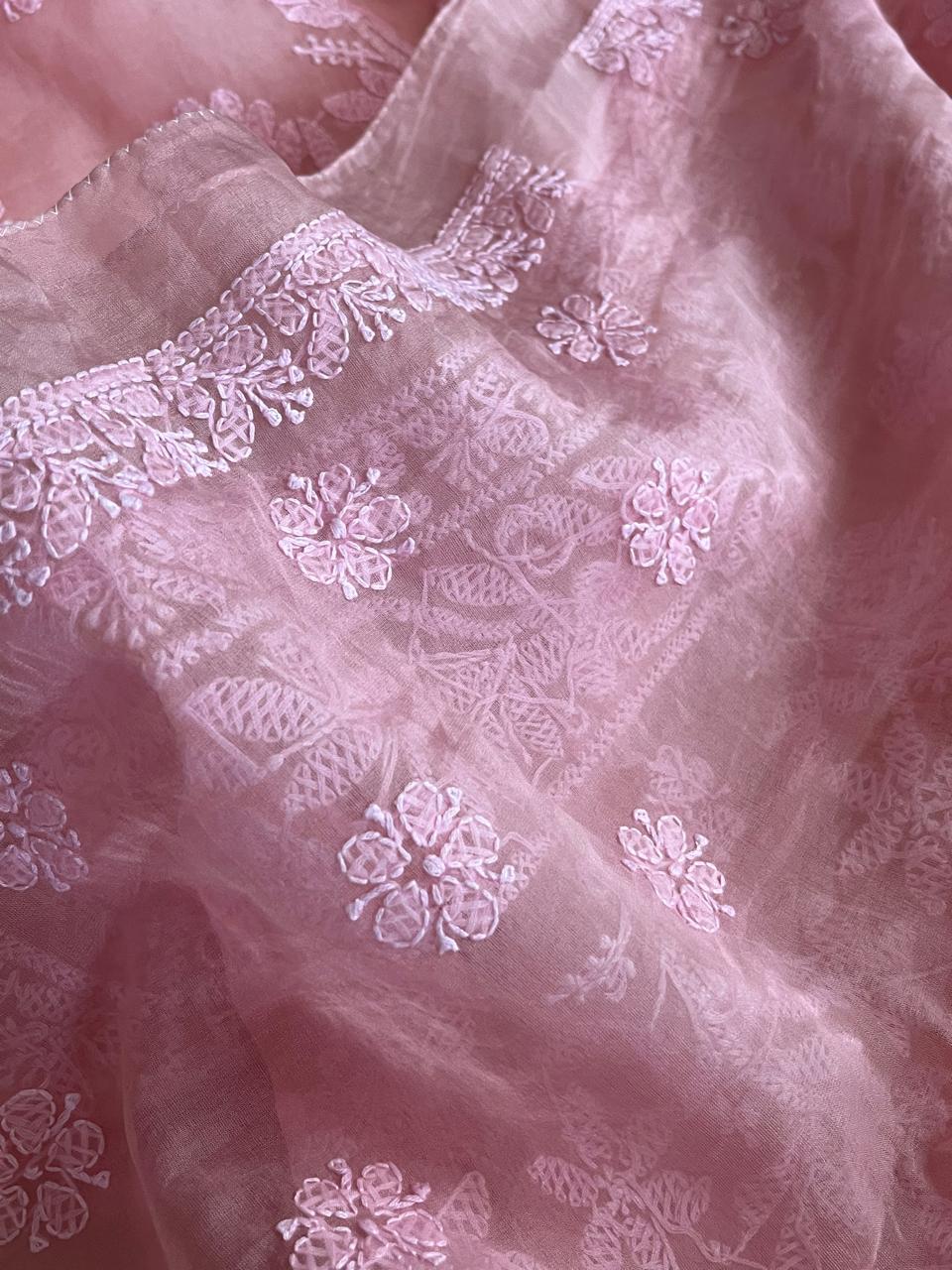 Beautiful Organza Saree with Hand Chikankari Embroidery - Blush Pink