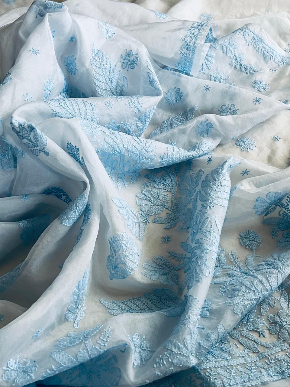 Beautiful Organza Saree with Hand Chikankari Embroidery - Icy Blue