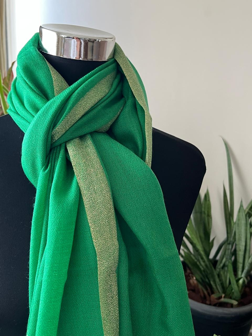 Beautiful Pure Wool Stole with thin contrast border - Green with Gold border