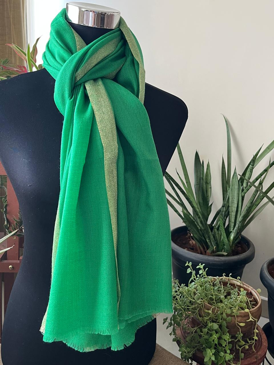 Beautiful Pure Wool Stole with thin contrast border - Green with Gold border