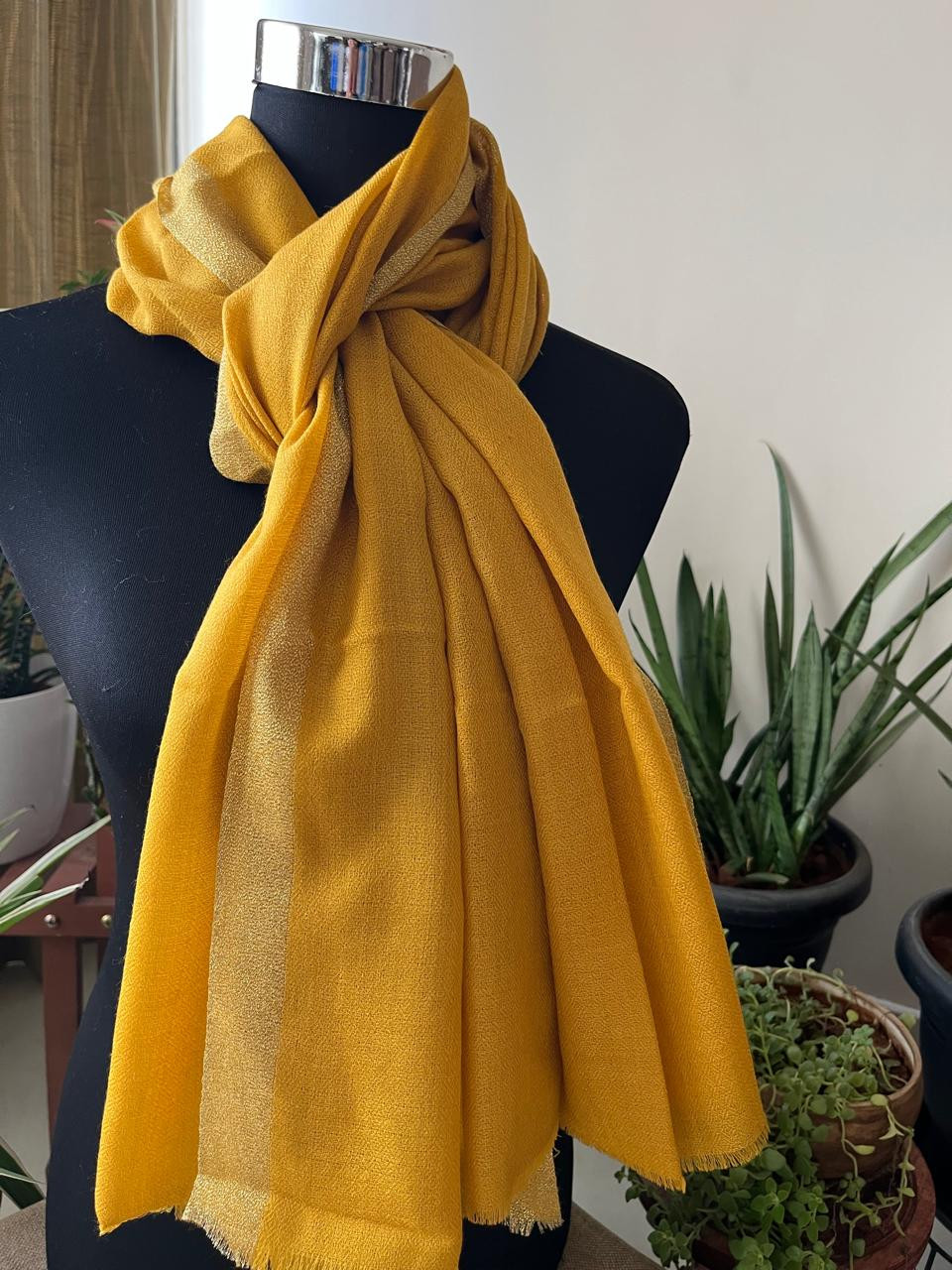 Beautiful Pure Wool Stole with thin contrast border - Yellow with Gold border