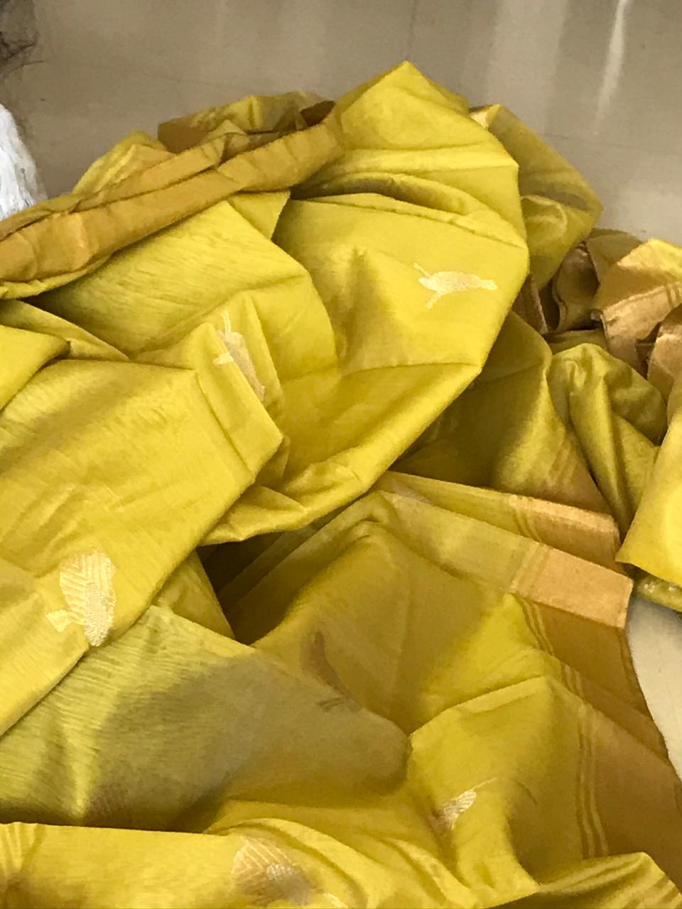 Pure Chanderi Silk Handwoven saree with beautiful bird motifs in gold and silver zari - Mehendi