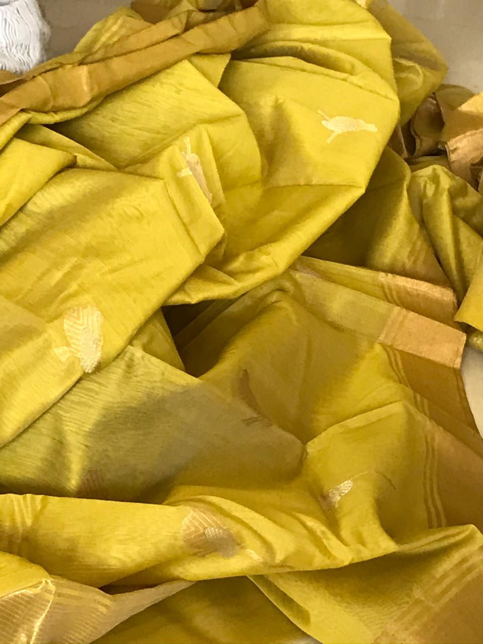 Pure Chanderi Silk Handwoven saree with beautiful bird motifs in gold and silver zari - Mehendi