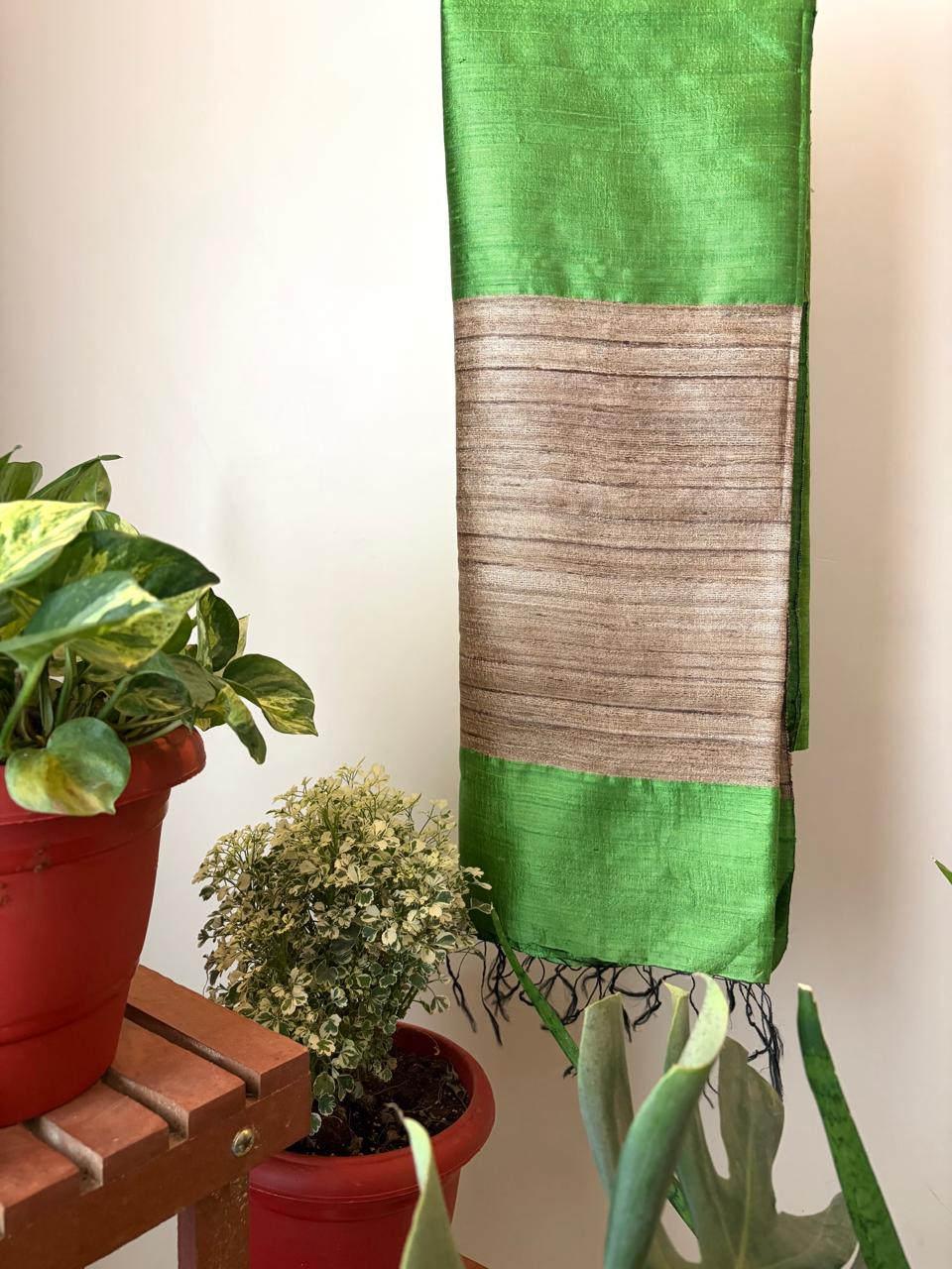 Pure Raw Silk Handloom Dupatta - Green - UNISEX
