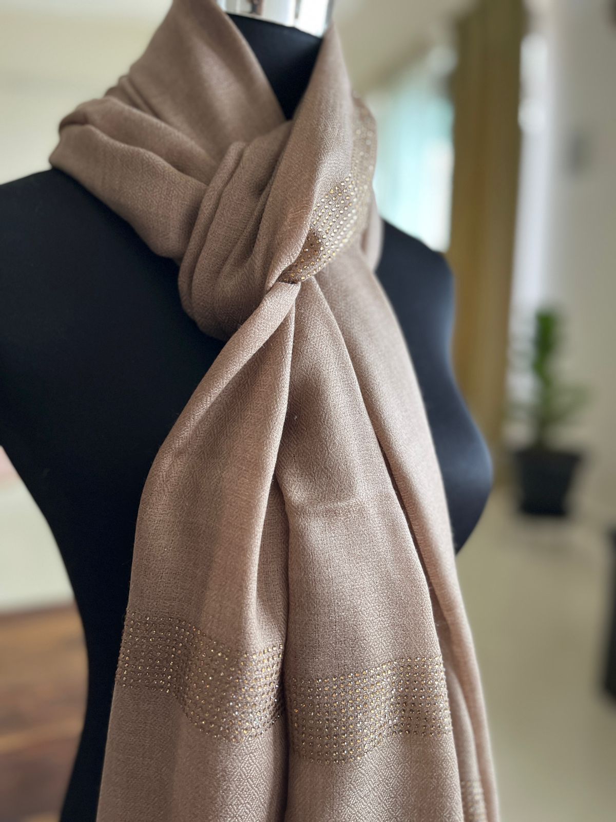 Woollen Stole with Stone Embellished Borders- Beige