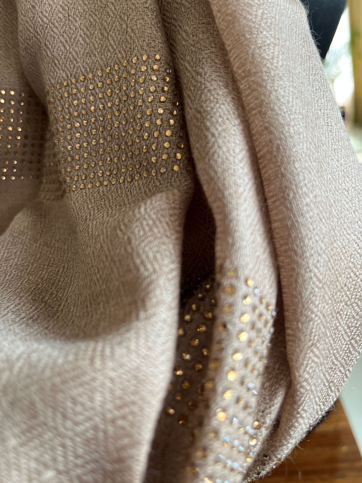 Woollen Stole with Stone Embellished Borders- Beige