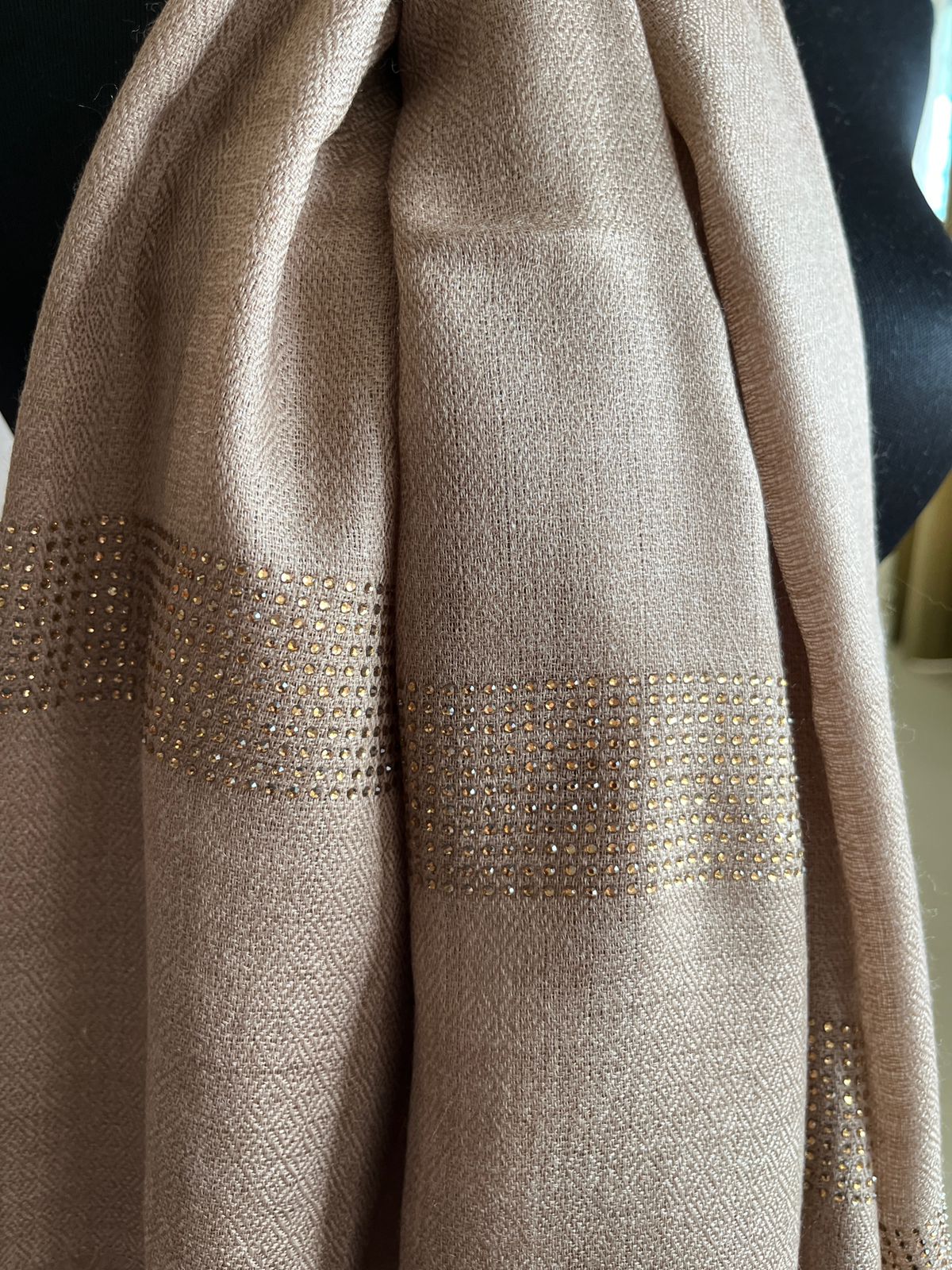 Woollen Stole with Stone Embellished Borders- Beige