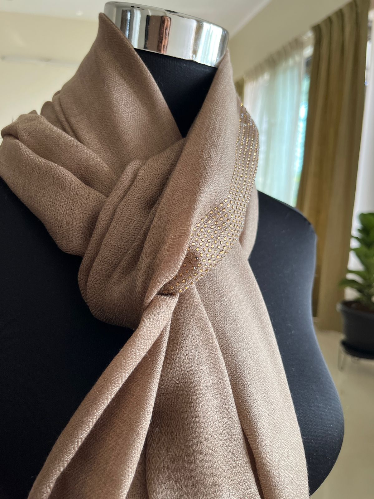 Woollen Stole with Stone Embellished Borders- Beige