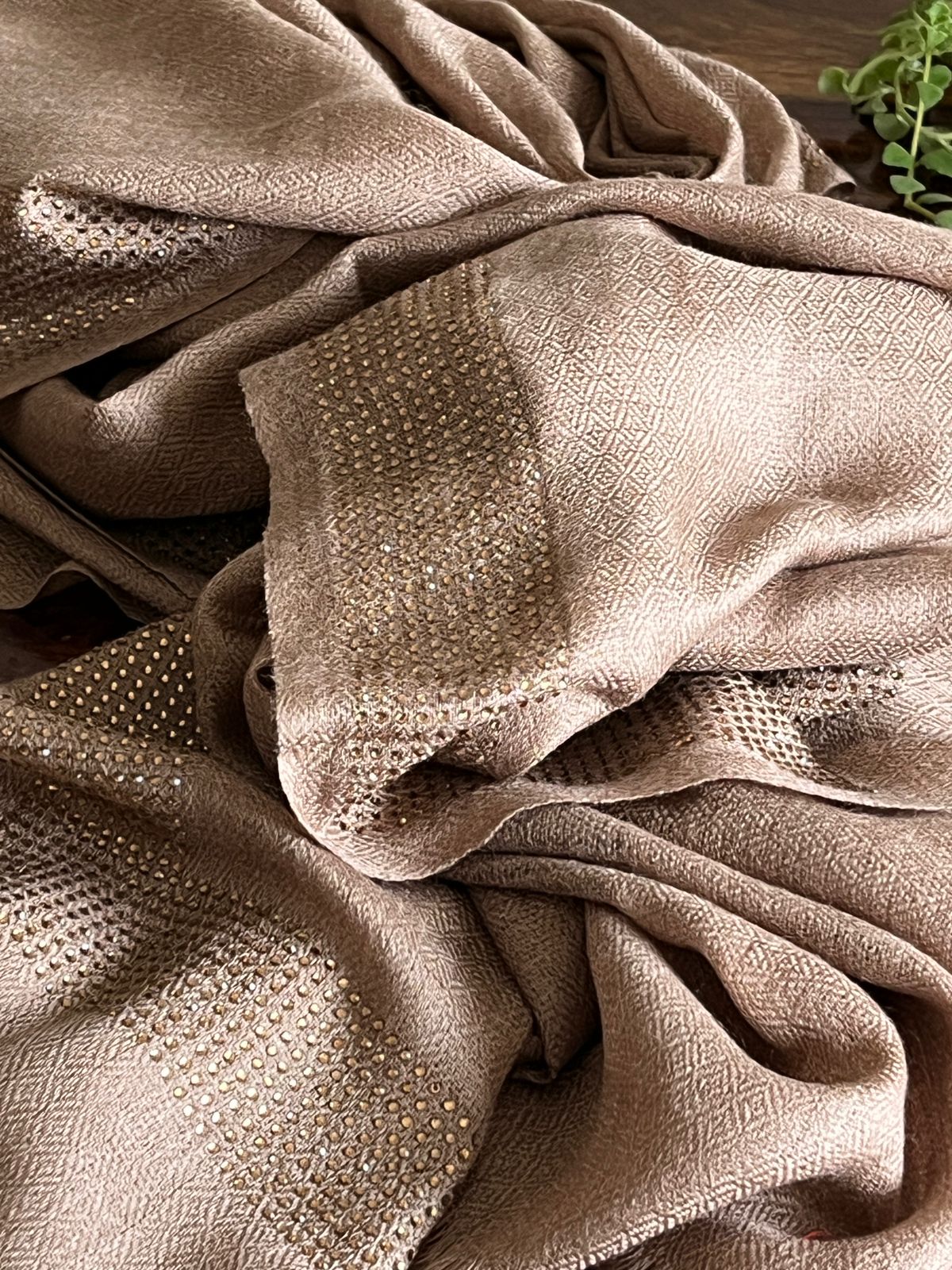 Woollen Stole with Stone Embellished Borders- Beige