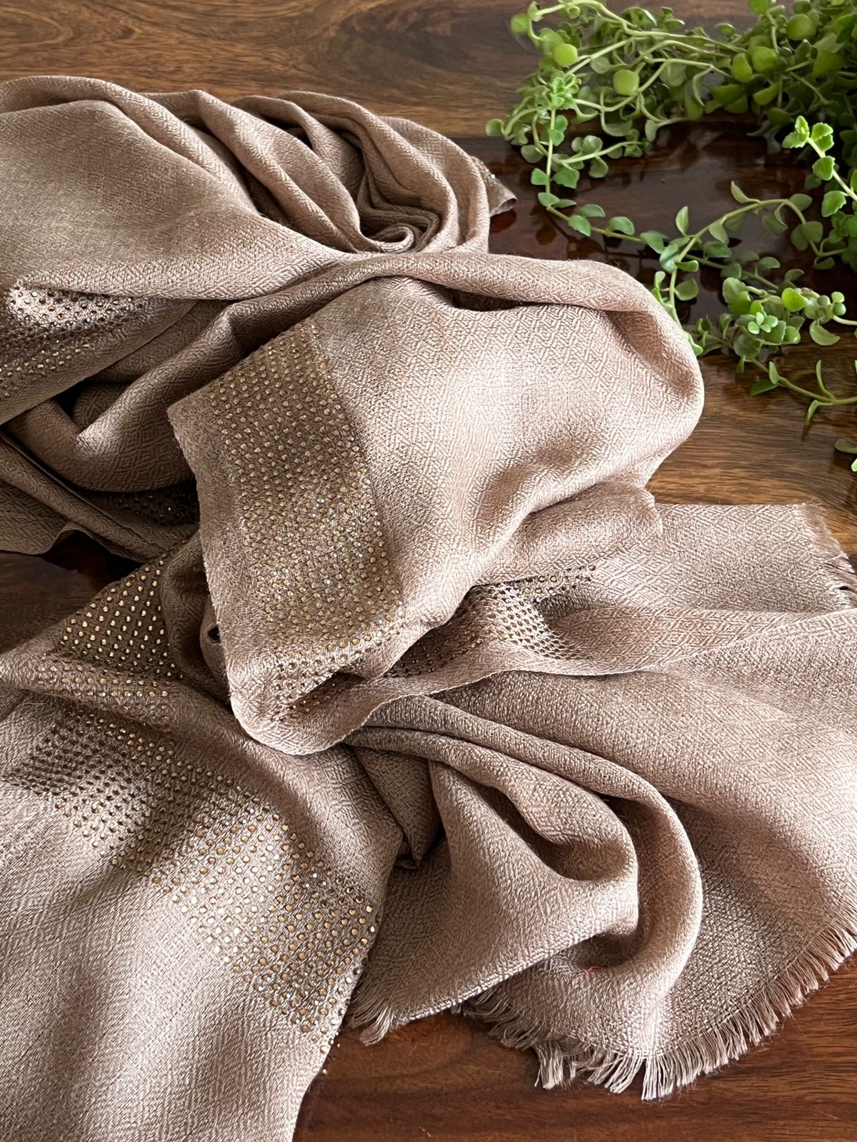 Woollen Stole with Stone Embellished Borders- Beige