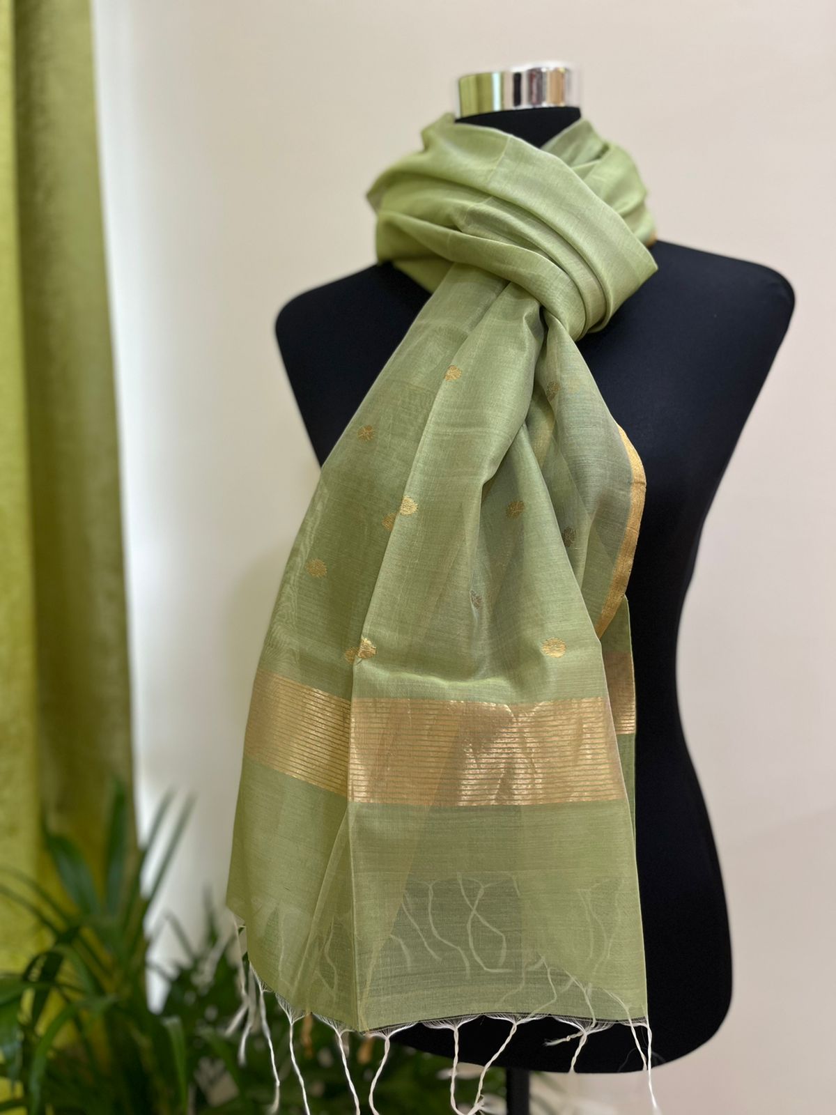 Chanderi Silk Handwoven Stole with zari motifs - Green