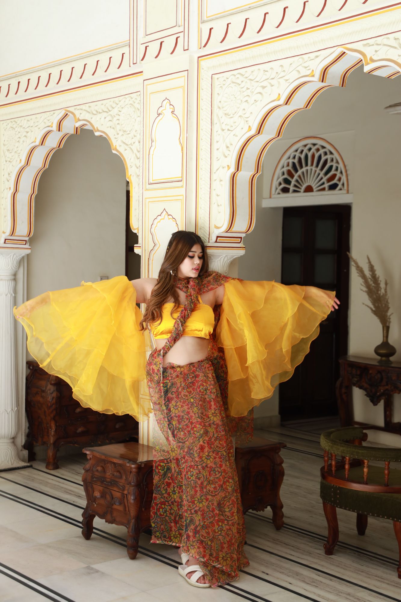 Colorful paisley Orgenza Saree