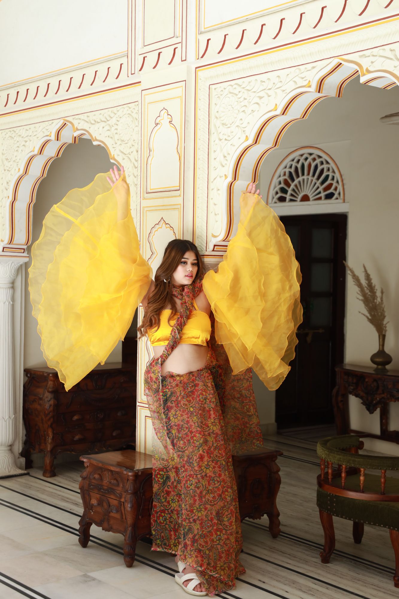 Colorful paisley Orgenza Saree