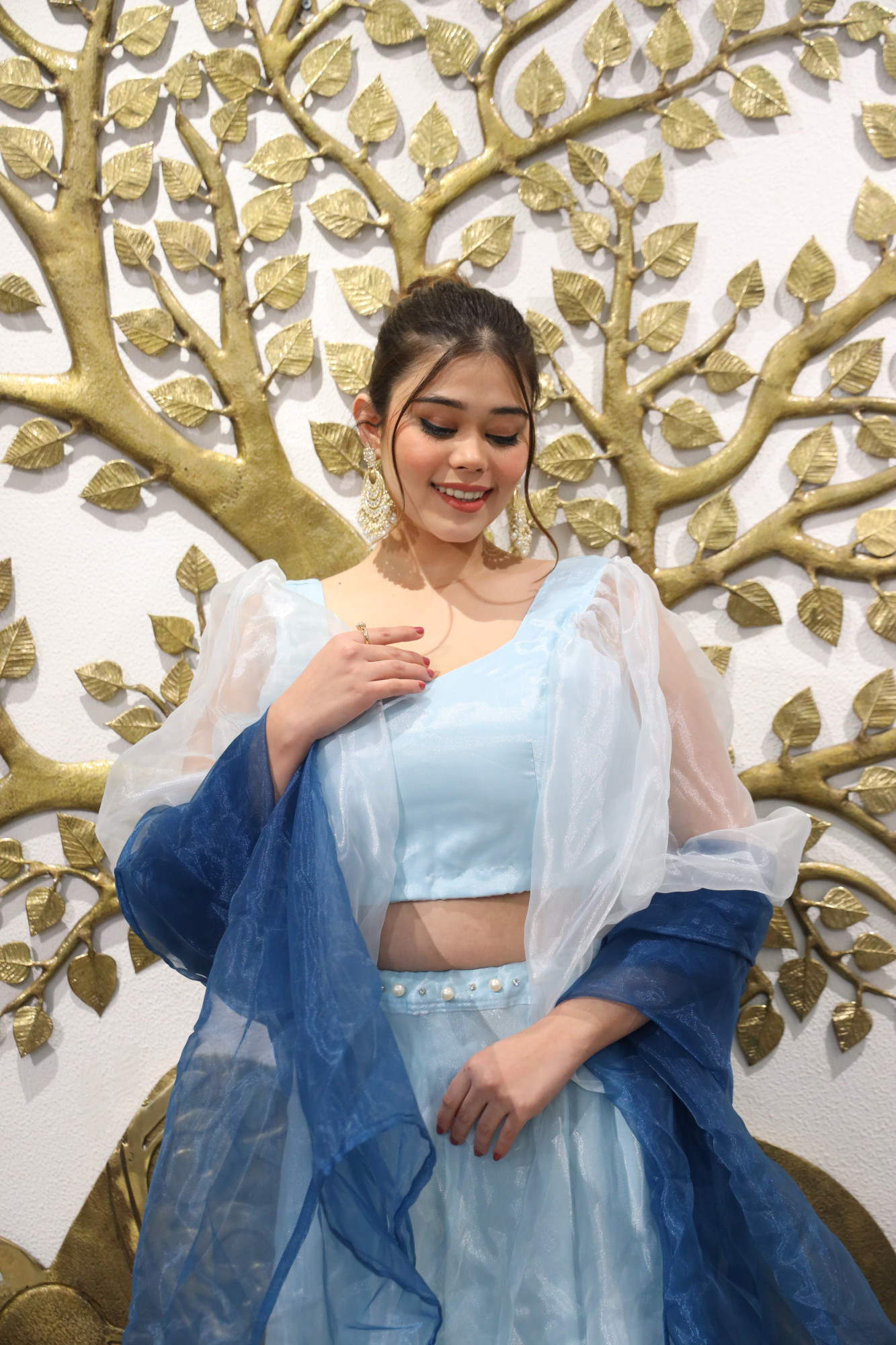 Blue Orgenza Lehenga Set