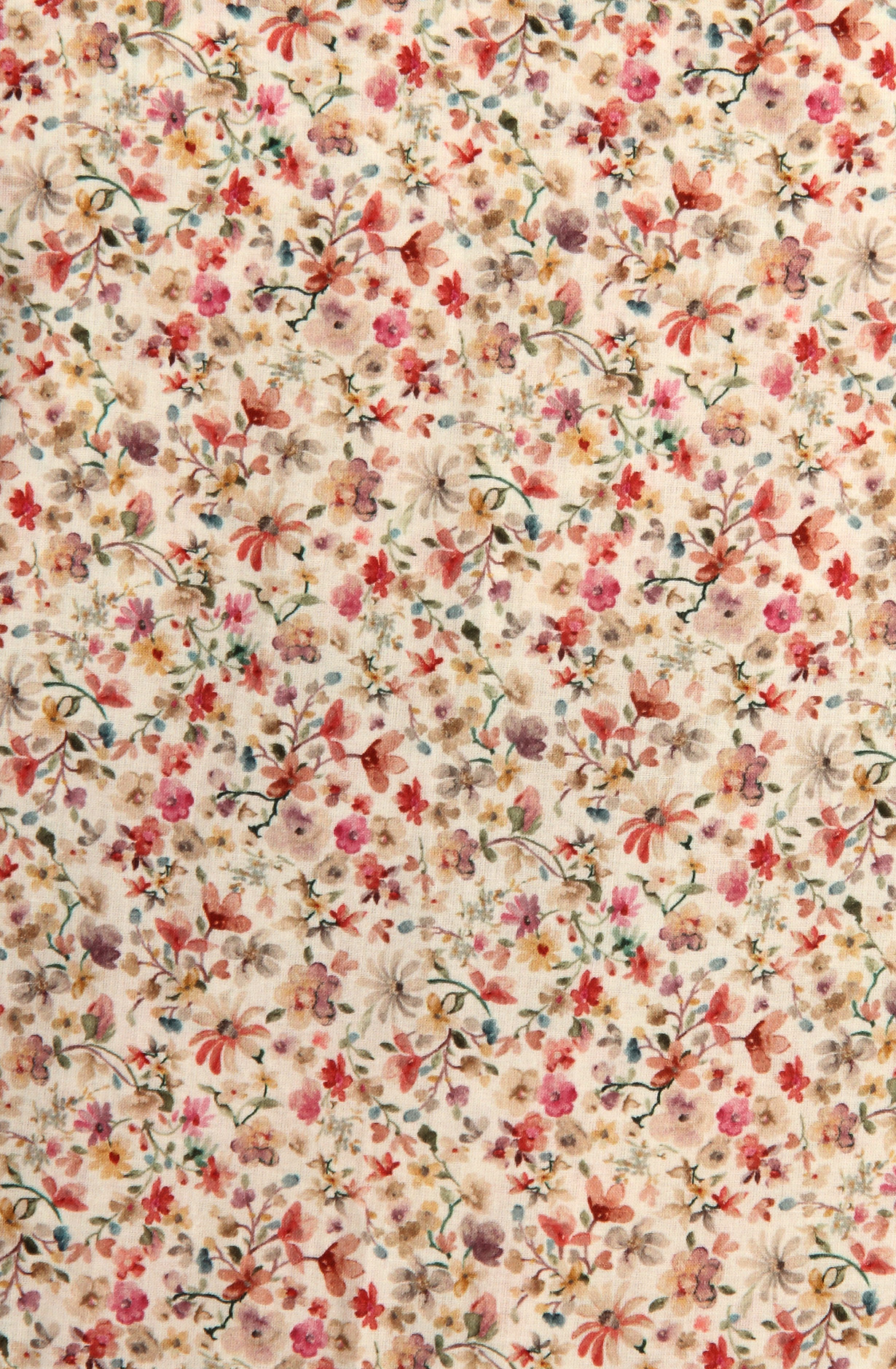 Cream Beautiful Cotton Unstitched Salwar Suit with Chiffon Dupatta - 838-289A