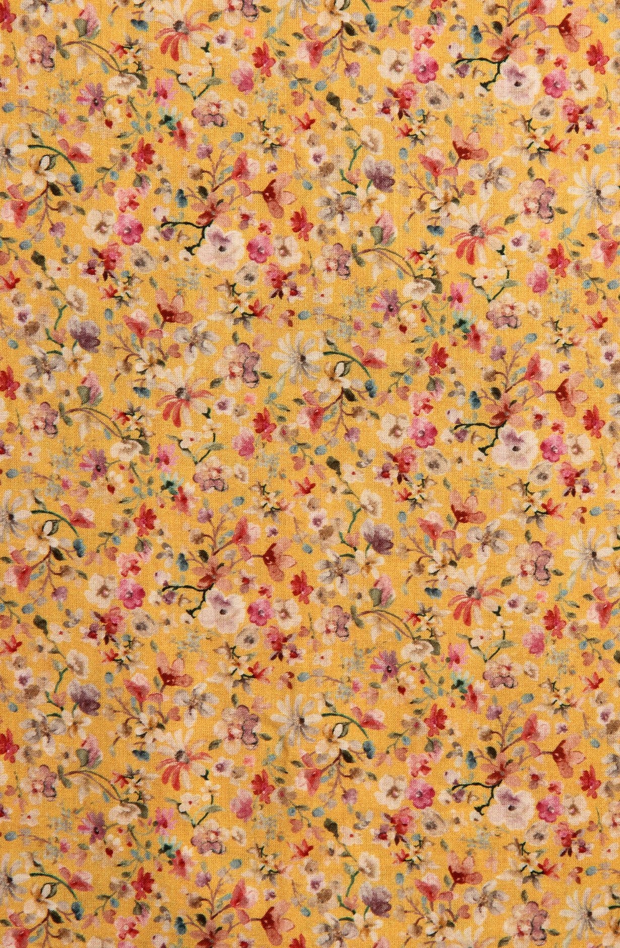 Mustard Beautiful Cotton Unstitched Salwar Suit with Chiffon Dupatta - 838-289B