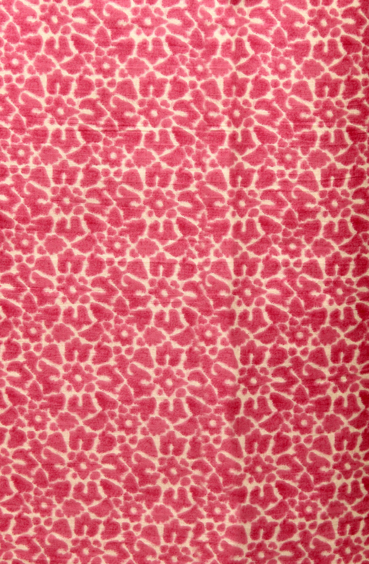 Pink Cotton Printed Salwar Suit with Chiffon Dupatta - 912-PD09551B