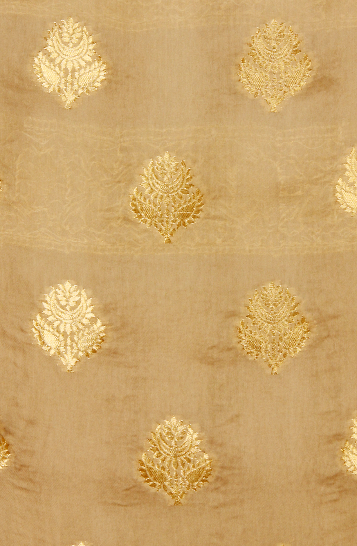 Olive Green Organza Festive Wear Salwar Kameez with Dupatta - ORG31604B