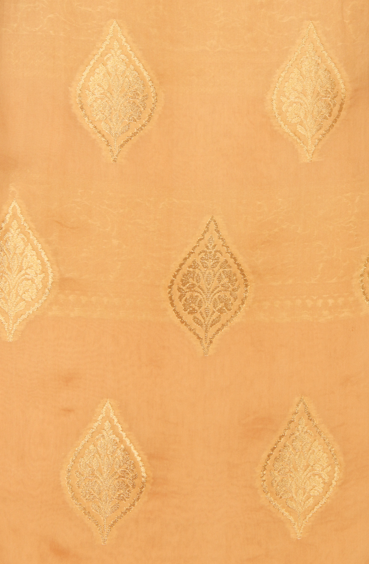 Fawn Organza Festive Wear Salwar Kameez with Dupatta - ORG31605C