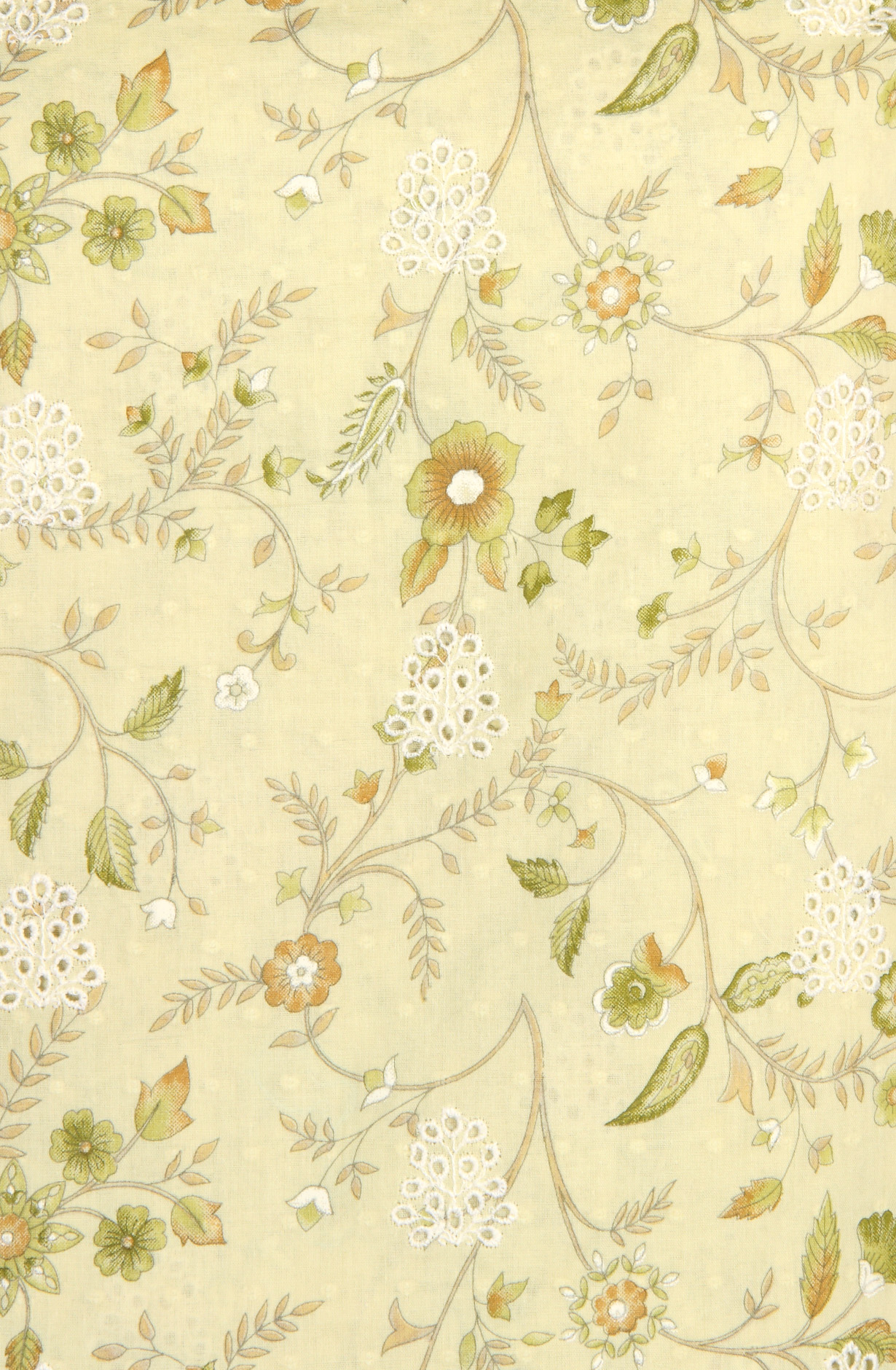 Pista Green Cotton Digital Printed with Schiffli Embroidery Suit with Chiffon Dupatta - PRAPIM2A