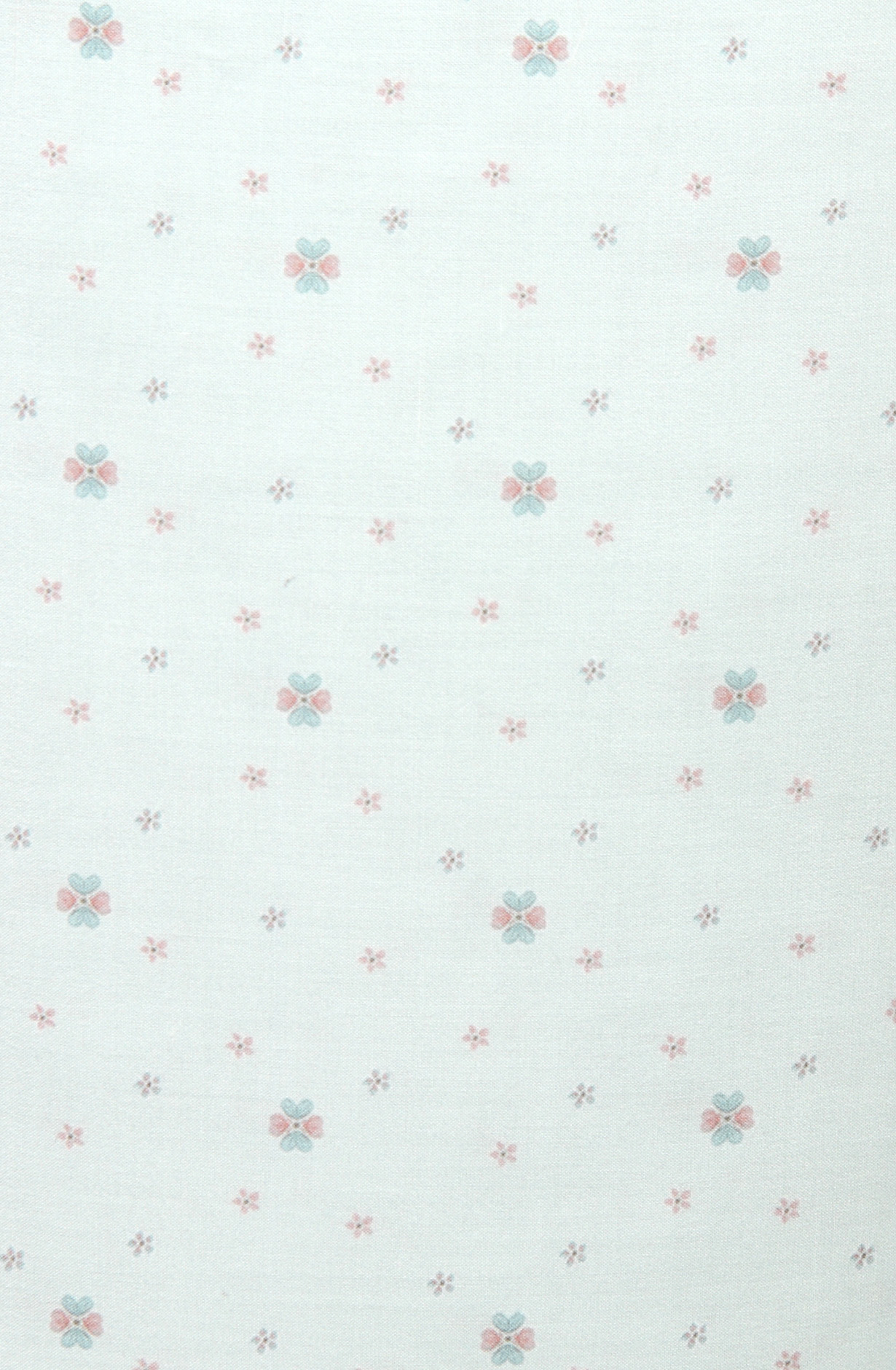 Sea Green Cotton Voile Digital Printed Salwar Suit - RIV1202F