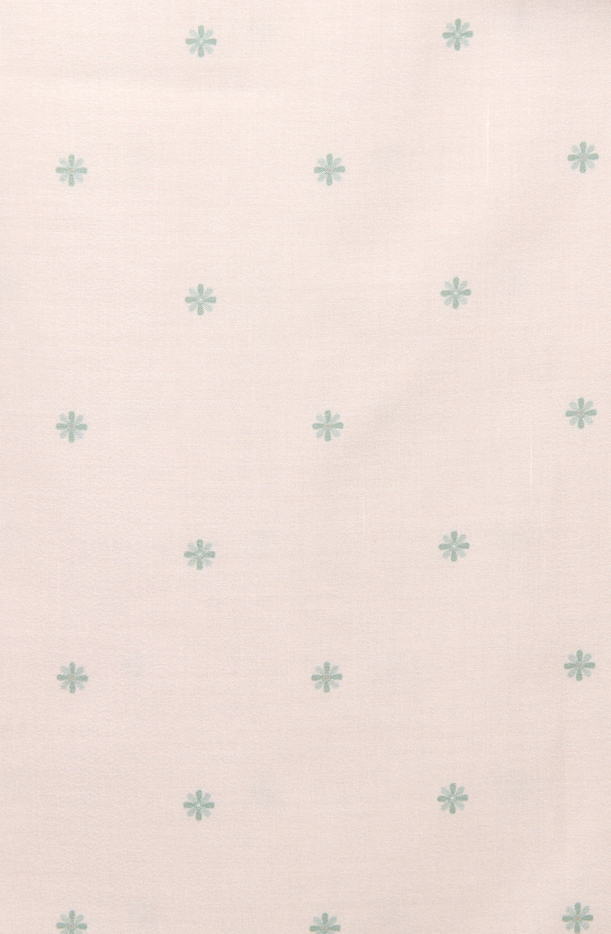 Cream and Sea Green Cotton Voile Digital Printed Salwar Suit - RIV1282C