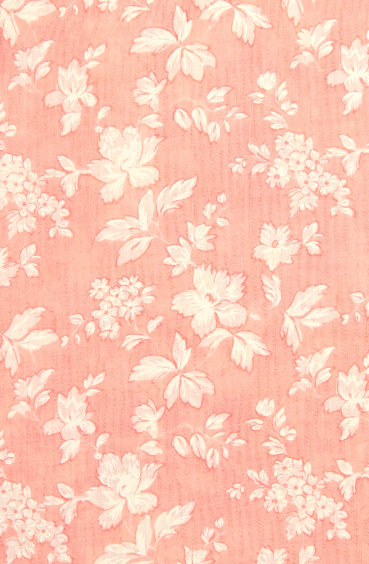 Pink Cotton Printed with Schiffli Embroidery Suit with Chiffon Dupatta - SYLNPJ3155A