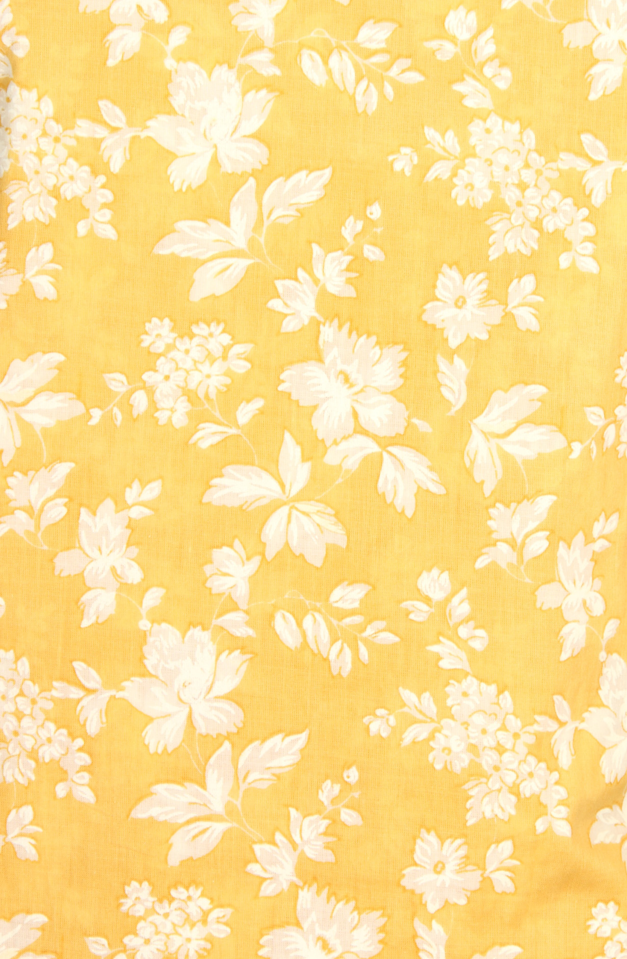 Mustard Cotton Printed with Schiffli Embroidery Suit with Chiffon Dupatta - SYLNPJ3155B