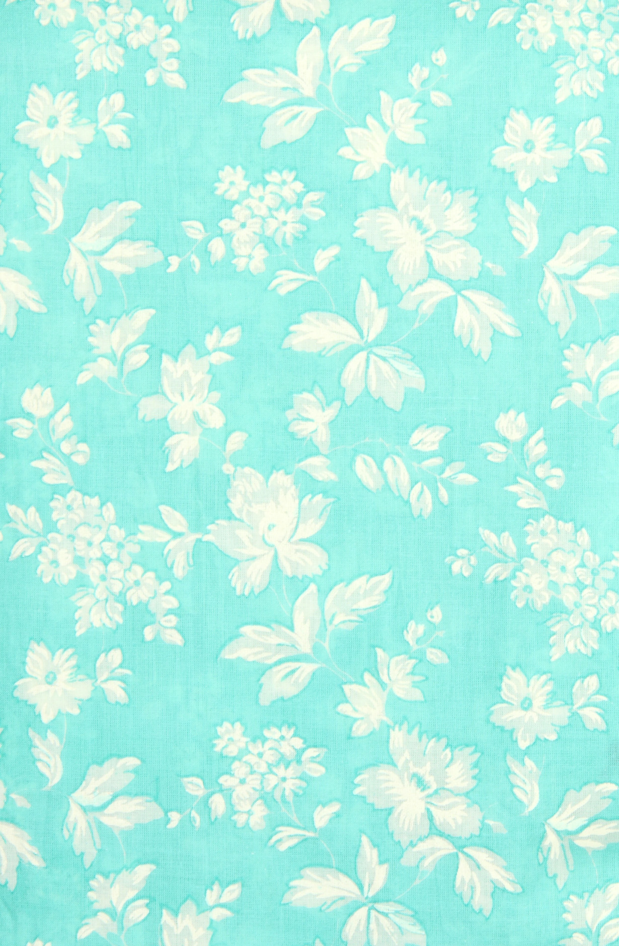 Turquoise Cotton Printed with Schiffli Embroidery Suit with Chiffon Dupatta - SYLNPJ3155C