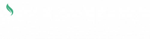 Taparia Spices