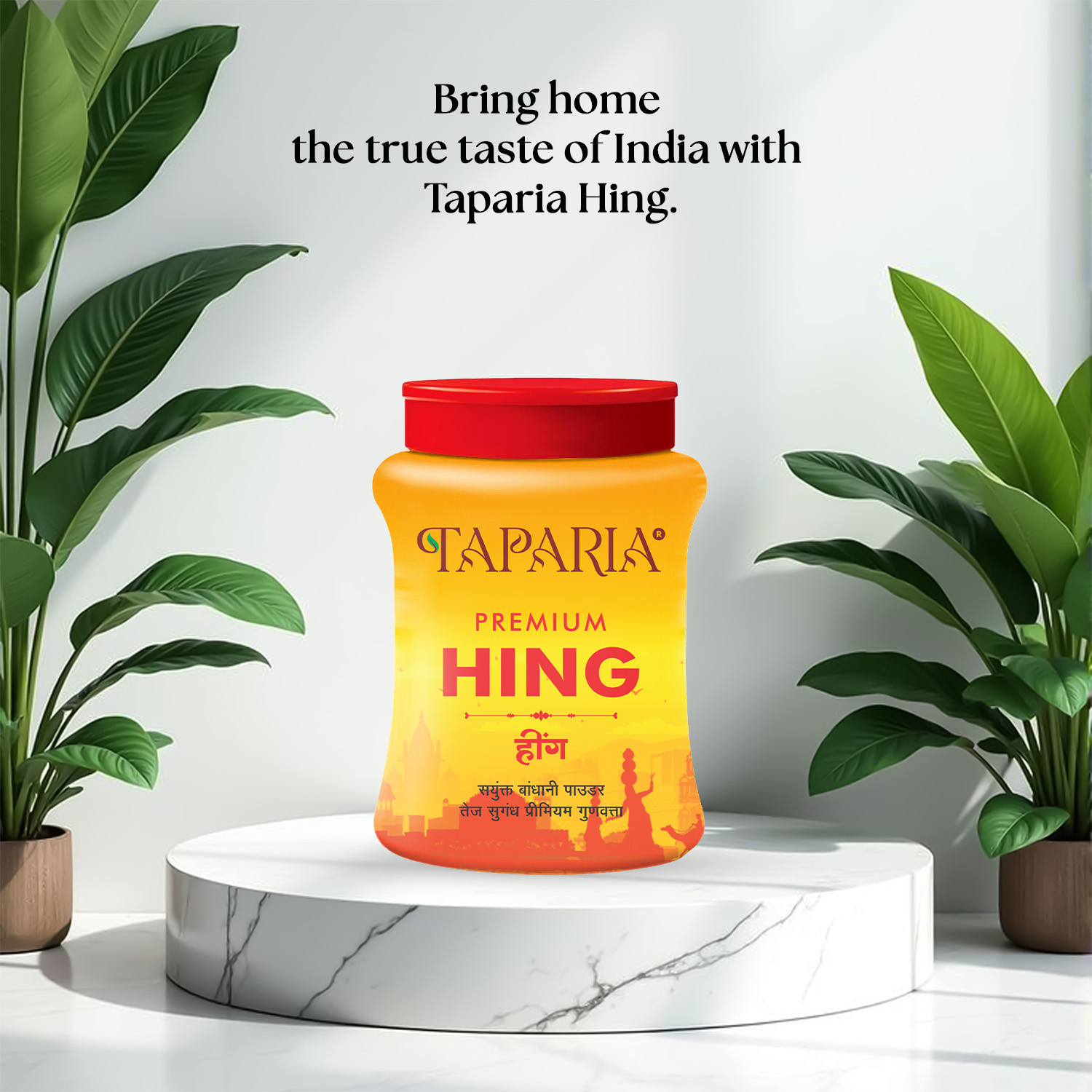 Taparia Asafoetida Hing Powder