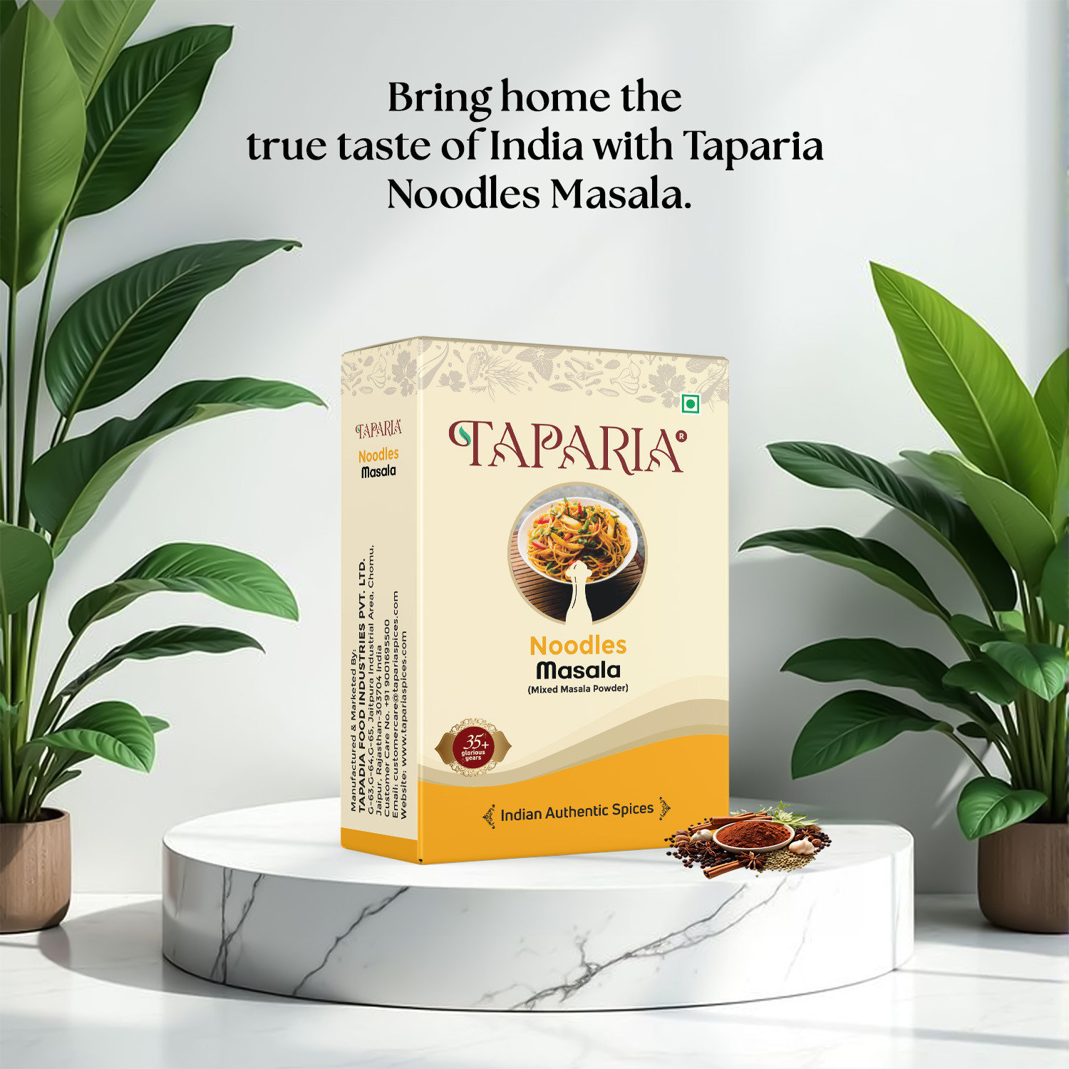 Taparia Noodels Masala